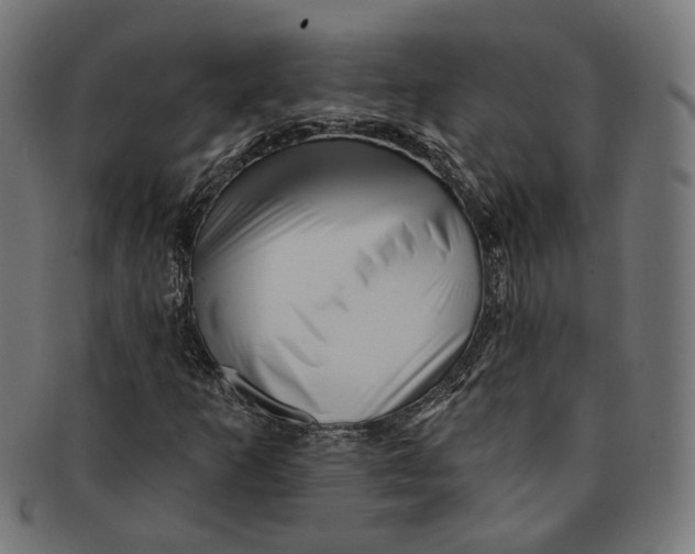 X0000091191253200709061006