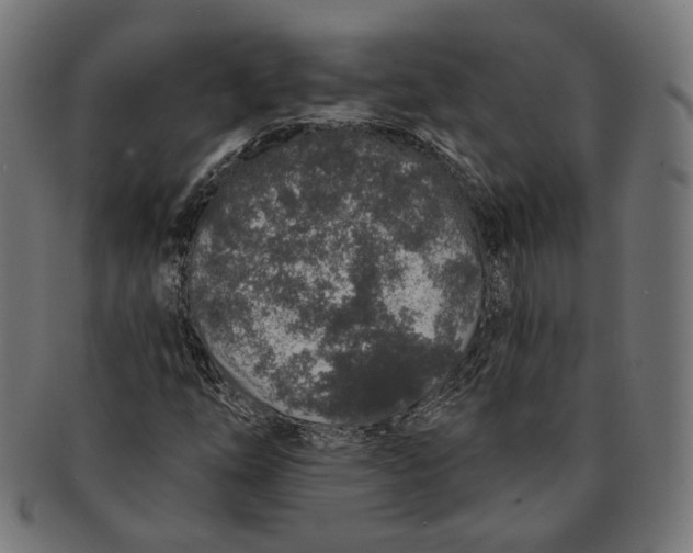 X0000091191254200709061006