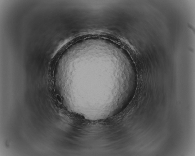 X0000091191256200709061006