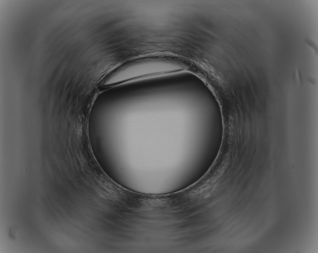 X0000091191257200709061006