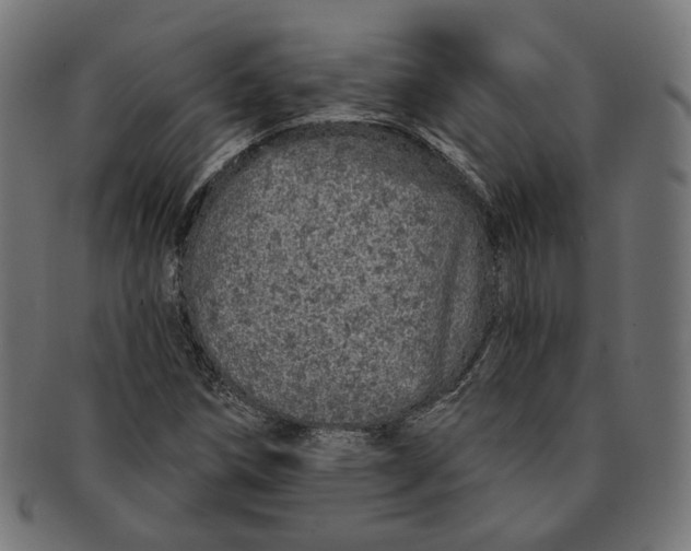 X0000091191258200709061006