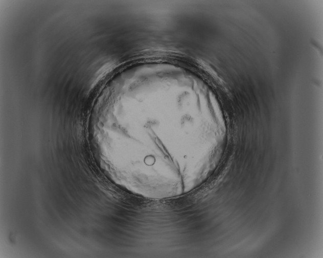 X0000091191259200709061006