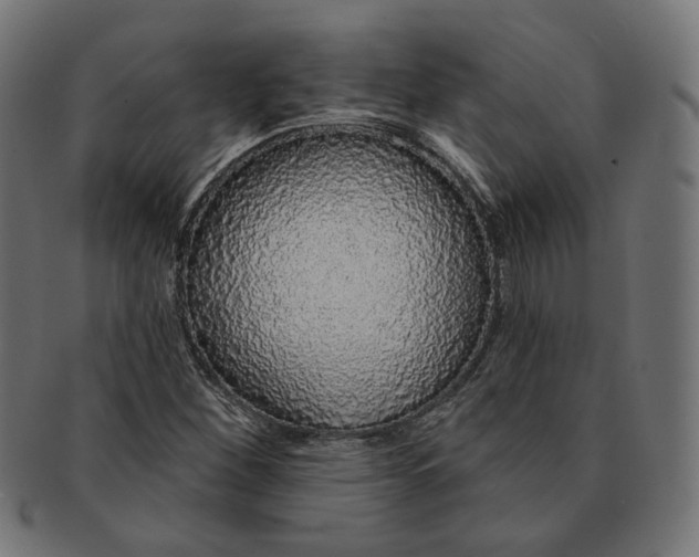 X0000091191260200709061006