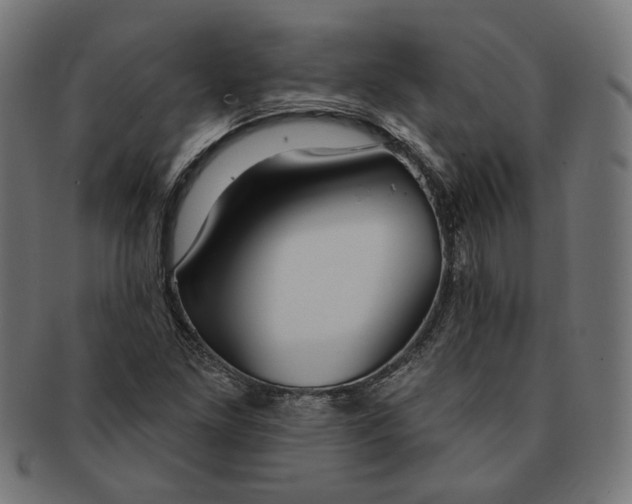 X0000091191261200709061006