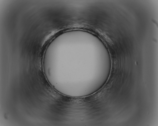 X0000091191262200709061006