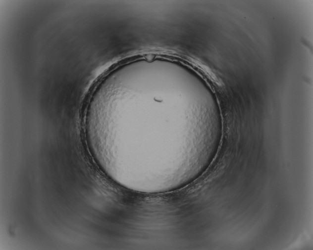 X0000091191264200709061006