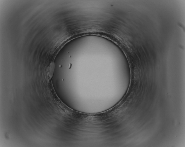 X0000091191265200709061006