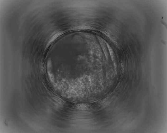 X0000091191266200709061006