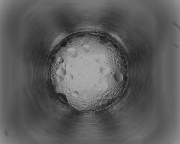 X0000091191267200709061006