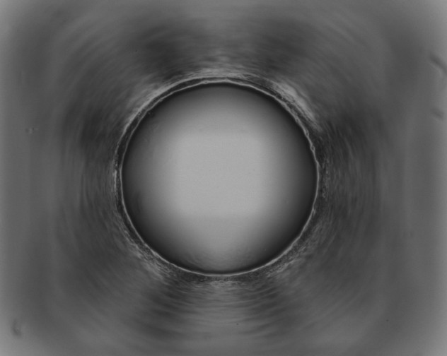 X0000091191268200709061006