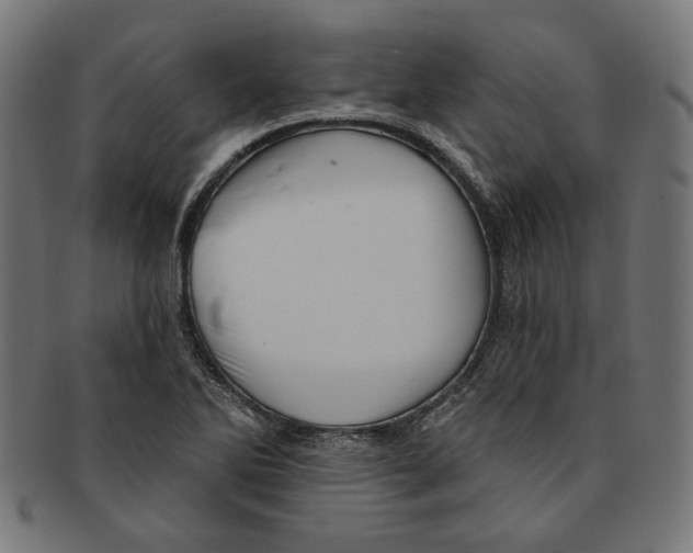 X0000091191270200709061006