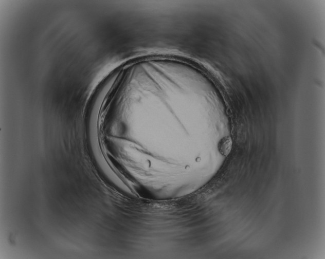 X0000091191271200709061006