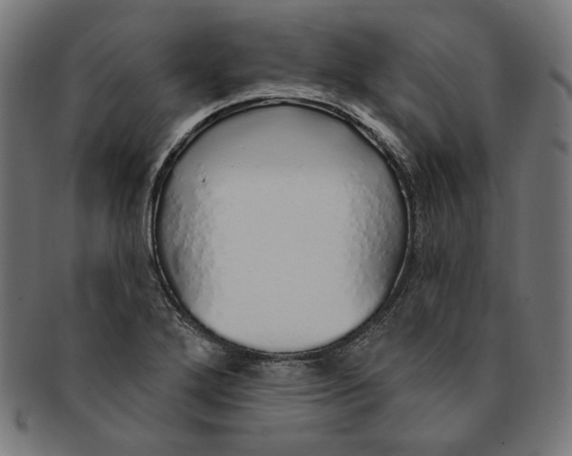 X0000091191272200709061006