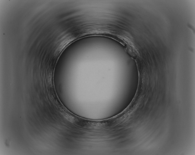 X0000091191273200709061006