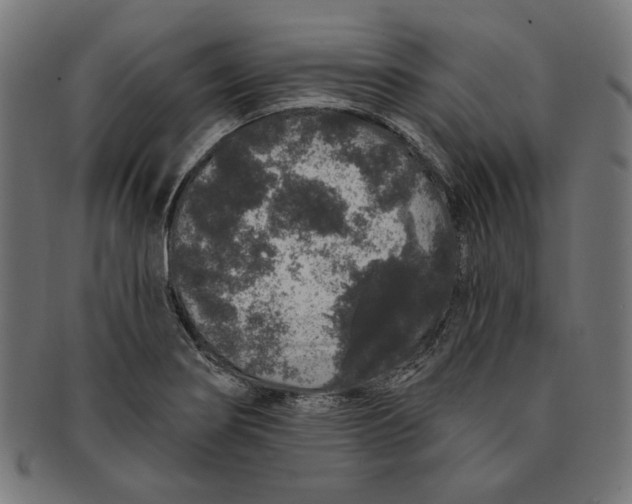 X0000091191274200709061006