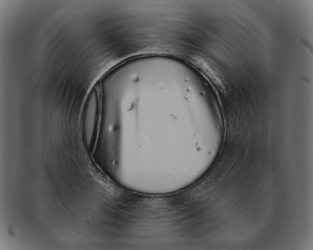 X0000091191276200709061006