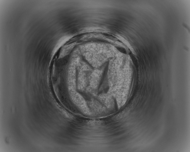 X0000091191277200709061006