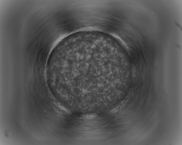 X0000091191278200709061006