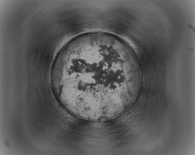 X0000091191279200709061006