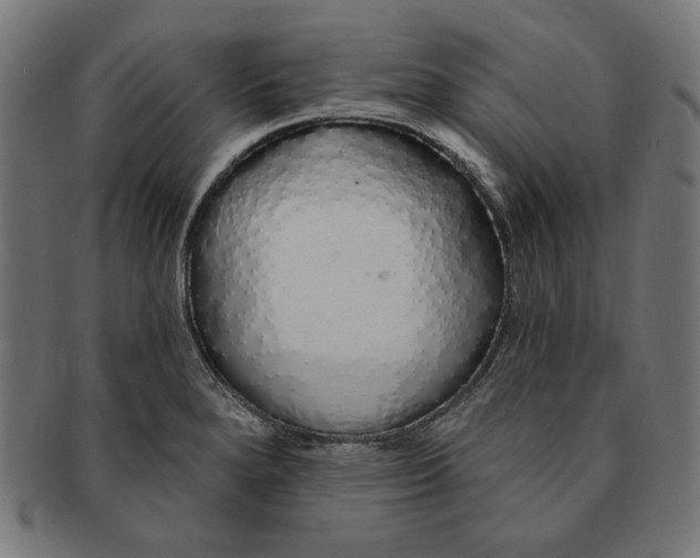 X0000091191280200709061006