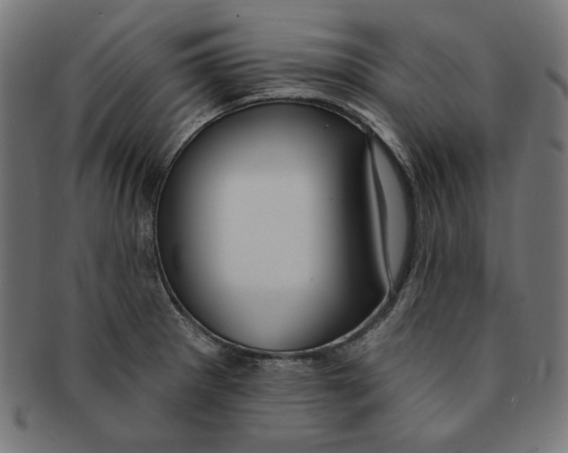 X0000091191281200709061006