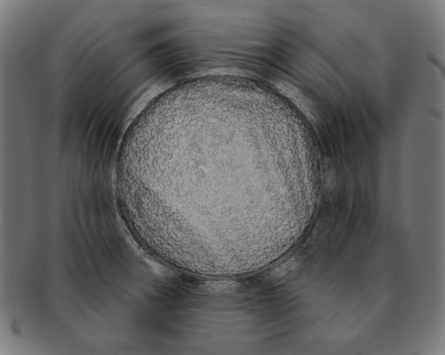 X0000091191282200709061006