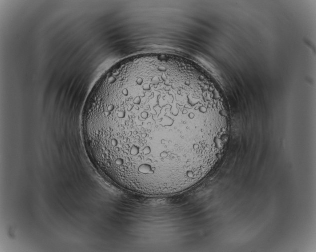 X0000091191283200709061006