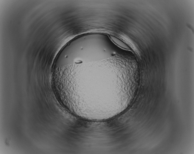 X0000091191284200709061006