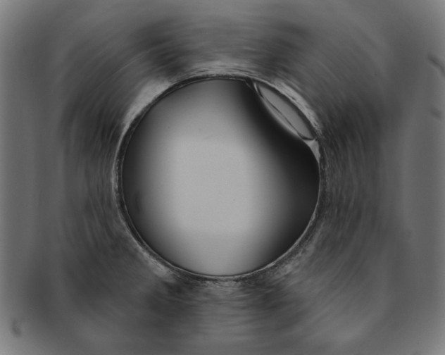 X0000091191285200709061006