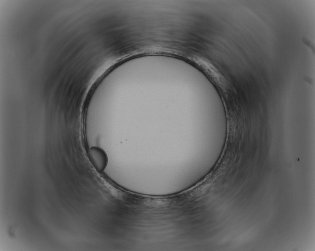 X0000091191286200709061006