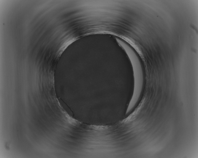 X0000091191289200709061006