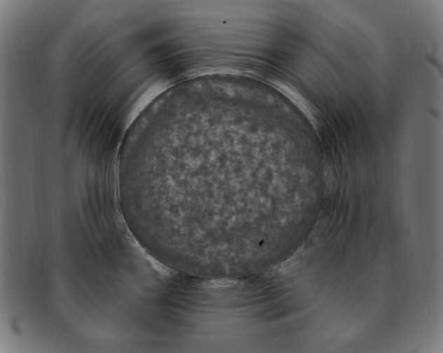 X0000091191290200709061006