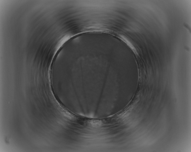 X0000091191291200709061006