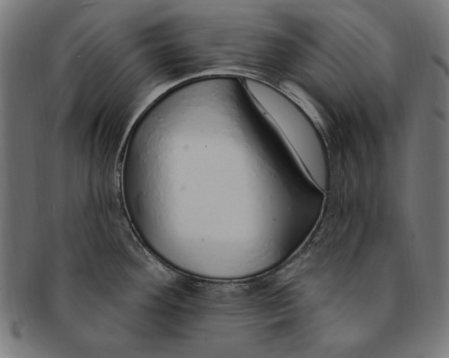 X0000091191292200709061006