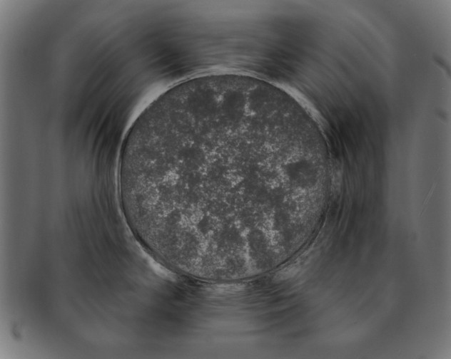 X0000091191294200709061006