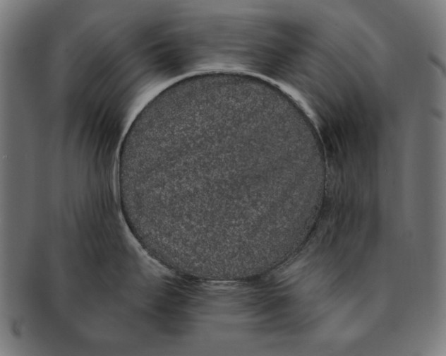 X0000091191295200709061006