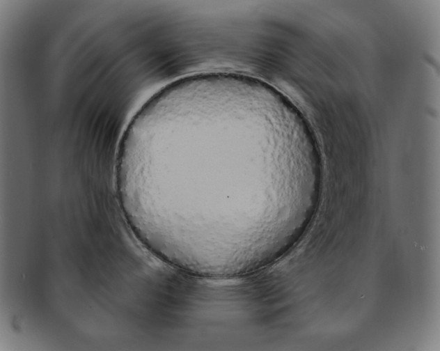 X0000091191296200709061006