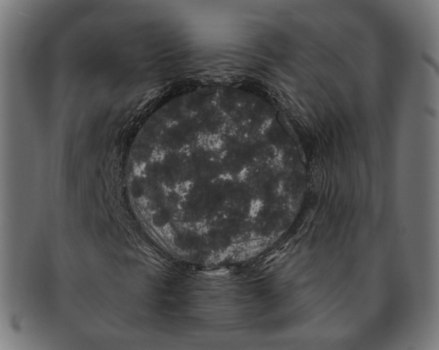 X0000091191297200709061005