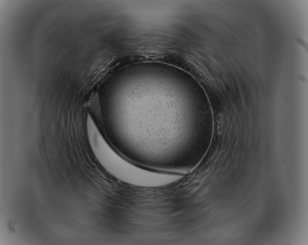 X0000091191298200709061005