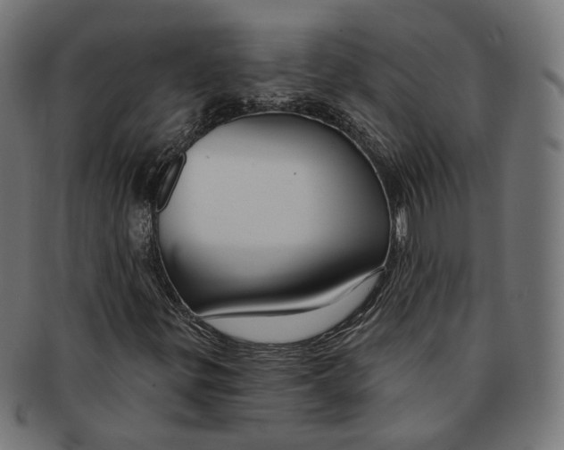 X0000091191299200709061005