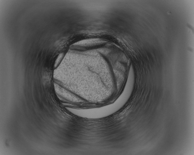 X0000091191300200709061005