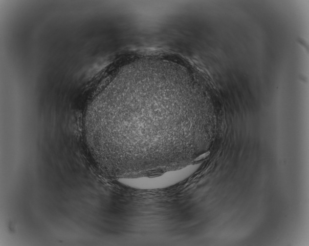 X0000091191301200709061005