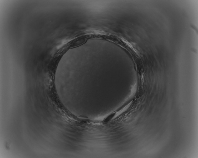 X0000091191303200709061005