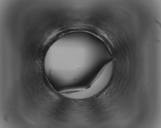 X0000091191304200709061005