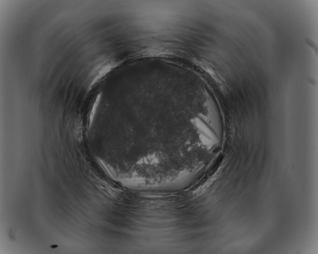 X0000091191306200709061005