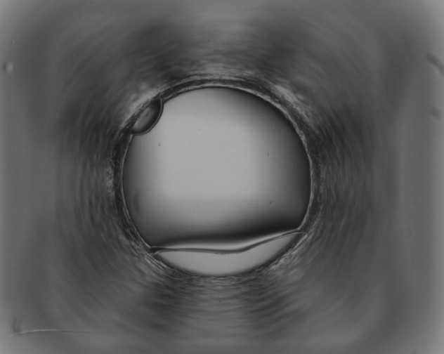 X0000091191307200709061005