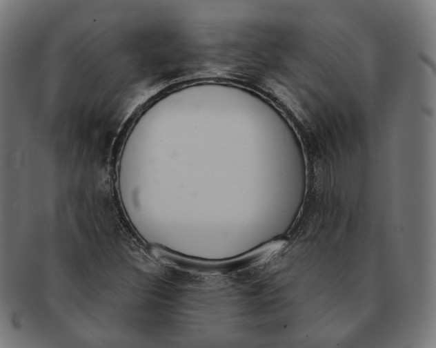 X0000091191308200709061005