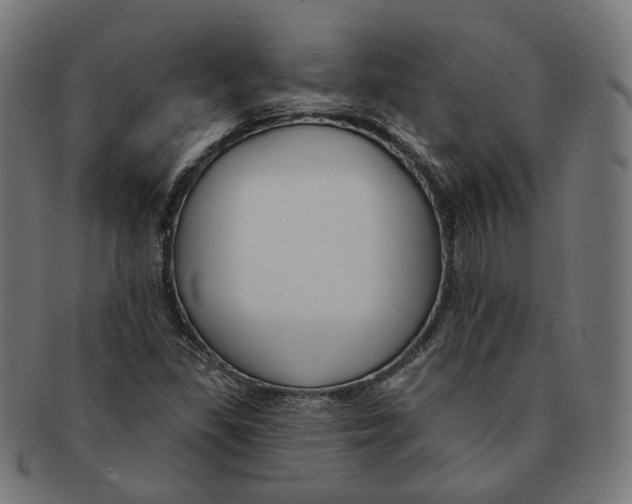 X0000091191309200709061005