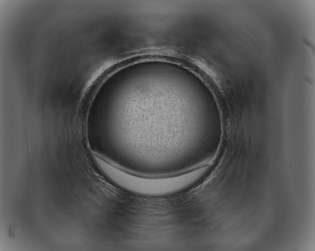 X0000091191310200709061005