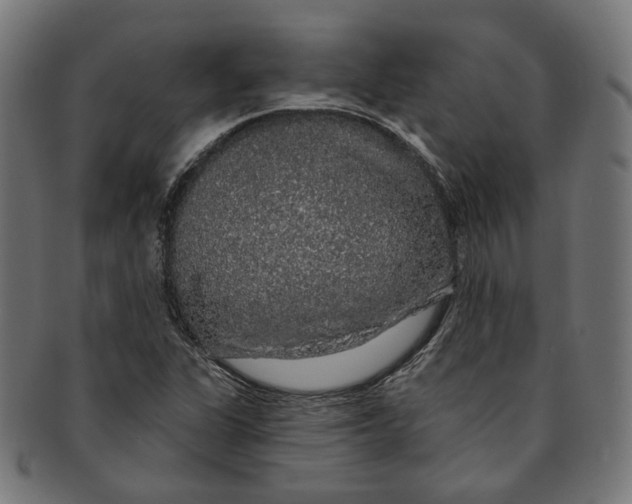 X0000091191311200709061005